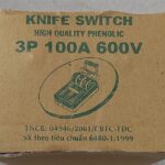 Cầu dao 3P 100A Tiến Thành