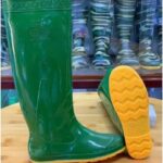 Hoa San - Ủng cấy xanh đế vàng